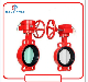  Factory Directly Manufacture UL/FM Listed Gear Operated Butterfly Valve