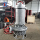 Wq Stainless Steel Submerse Sewage Pump Submersible Sewage Electric Sewage Water Pumps Drainage Submersible Sewage Pump