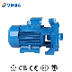 Yinjia Electric Double Impeller 7.5HP Three Phase Centrifugal Water Pump for Farming