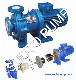 Cbq Fluoroplastic Alloy Small PTFE Centrifugal Magnetic Drive Pump