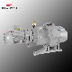 Mby500 Roots Vacuum Pumps for Packaging Industry