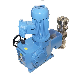 Electric Pump Chlorine Dosing Pump Chemical Liquid Pump Vacuum Pump