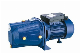 Self-Priming Jet Pump (JET-100L) with CE Approved