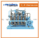  Oil Free High Pressure Helium Compressor Argon Compressor Booster (Gow-41/4-150 CE Approval)