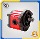  High Pressure China Hydraulic Double Gear Pump for Sale Oil Gear Motor Hydraulic Motor Hydraulic Pump