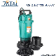 Qdx Series Electric Submersible Well Water Pump for Clean Water Garden Irrigation