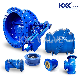  Pn16 Duction Cast Iron Body Flang Silence Double Plate Swing Lift Ball Type Non Return Valve Check Valve