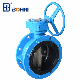  Worm Gear Operated Flang Type Butterfly Valve Industrial Control Valve API