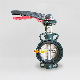  China Manufacturer /Factory/Di/Ss/Wcb/Alb/Soft Seated Concentric Wafer Type Butterfly Valve