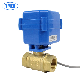  3/4inch DN20 AC12V DC12V Brass Mini Motorized Ball Valve for Water