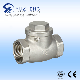  Industry Stainless Steel 304/316 Thread Bsp/BSPT/NPT/G Swing Check Valve