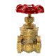 BS5154 Full Port Brass Screw Gate Valve