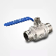 Stainless Steel 2PC Double Male Thread Ball Valve with Good Price