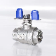  Full Bore Ball Valve with Butterfly Lever Forged Stainless Steel Ball Valve