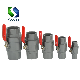  Manufacture ABS with Chrome Plated Ball or Plastic Ball PVC 2PCS Ball Valve