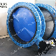 Double Flanged U Section Worm Gear Butterfly Valve with Epoxy Disc