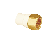  New Type Tube Connector CPVC Female Copper Thread Coupling