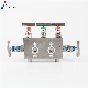  High Temperature SS316 5-Port Manifolds Stainless Steel Needlevalve Manifolds NPT and BSPP