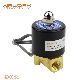  2W Series 2W 025 06 2W025-08 Diaphragm Pneumatic Brass Solenoid Valve Normal Close for Water