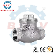 Wenzhou Bstv Manufacturer Stainless Steel Female Non-Return Swing Horizontal Check Valve with High Quality