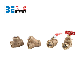 Bwva Bronze Material Bronze Valves