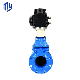 OEM ODM Cast Iron Pn16 Pn25 Water Gate Valves and Fitting