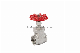 Female Thread Globe Valve /Gate Valve