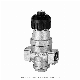  Steam Pressure Regulator with Stainless Steel Body