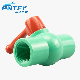 Pipe Fitting ASTM Pntek PPR UPVC PVC Compact Ball Valve