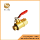  1/2 Inch Brass Copper Ball Valve