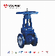  PFA Lined Gate Valve Rising Stem for Chemical