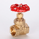  Brass Gate Valve/Ball Valve/Valve/Stop Valve/FF Valve/Copper