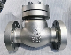  API Standard High Pressure Check Valve, Special for Petrochemical Industry