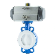  D671f46-16qt Fluorine Lined Butterfly Valve with Ball Milled Cast Iron Body Stainless Steel Wcb A216 SS304 SS316 CF8 CF8m CF3 CF3m Wc9 Butterfly Valve
