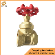 High Quality Brass Gate Valve Pressure Reducing Valve for Water