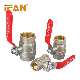  Ifan High Quality 81052 Cw617n Water Supply Female/Male Thread Stop Gate Float Radiator Angle Check Brass Ball Valve