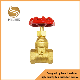 Water Brass Gate Valve Forged Flange End 125lb OS & Y Gate Valve manufacturer