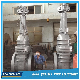 150lb 30inch Gear Operated Gate Valve