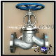 Gear Globe Valve Flanged