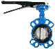  Chinese Supplier Wholesale Butterfly Valve Low Temperature Soft Seal Gate Valve