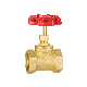 Forged Female Thread Medium Type 1/2" Brass Stop Globe Valve with Red Iron Wheel Accept OEM/ODM