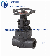  Class 800-2500 Forged Steel Gate Valve Bw/Sw/NPT A105/F11/F22/F91