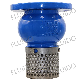  Flange End Cast Iron Body Vertical Check Foot Valve with Filter Strainer Screen for Irregation Pump