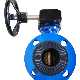  Double Flanged Butterfly Valve