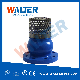 Check and Foot Valve