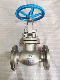  API Petrochemical Special Stop Valve