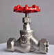  Straight Through Flange Fluoroplastic Grey Iron Material Globe Valve