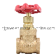 Wholesale Japan Kitz S Class 125 Cast Bronze, Gate Valves