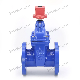 BS5163 Resilient Seat Seal Non-Rising Stem Gate Valve