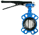 China Supplier Wholesale Butterfly Valve